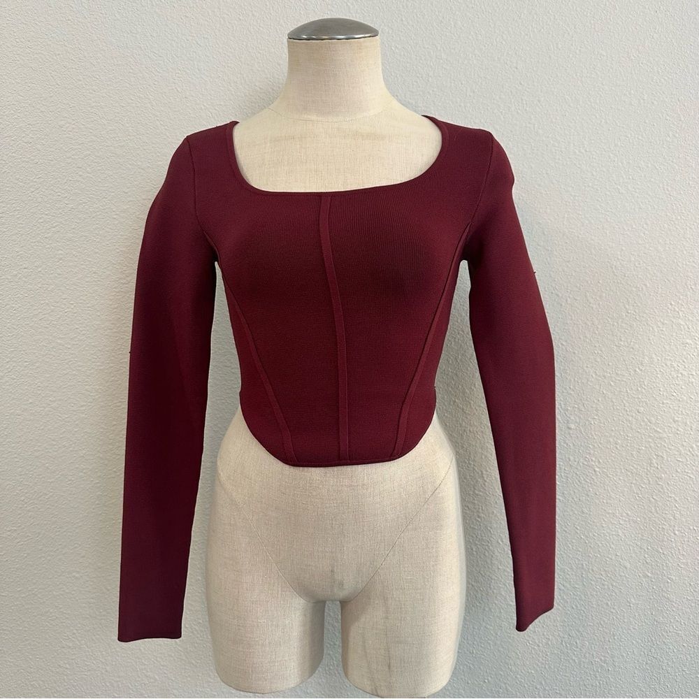 Aritzia Sculpt Knit Bustier Longsleeve 472